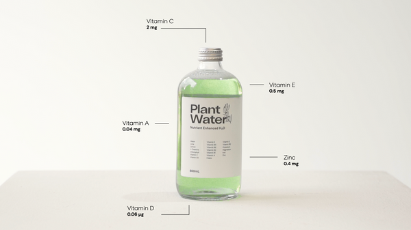 Nurture Your Skin from Within with PlantWater: The Ultimate  Dermatologist-Approved Skincare Recipe. Packed with a blend of essential vitamins and minerals—vitamin A, vitamin E, vitamin C, vitamin D, and zinc