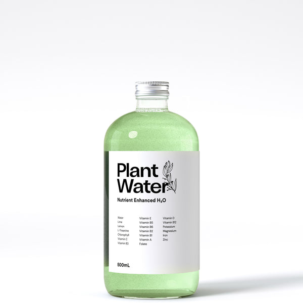PlantWater Vitamin Drink - L-Theanine, Chlorophyll, Vitamin C, and More - PlantWater Logo - White Background